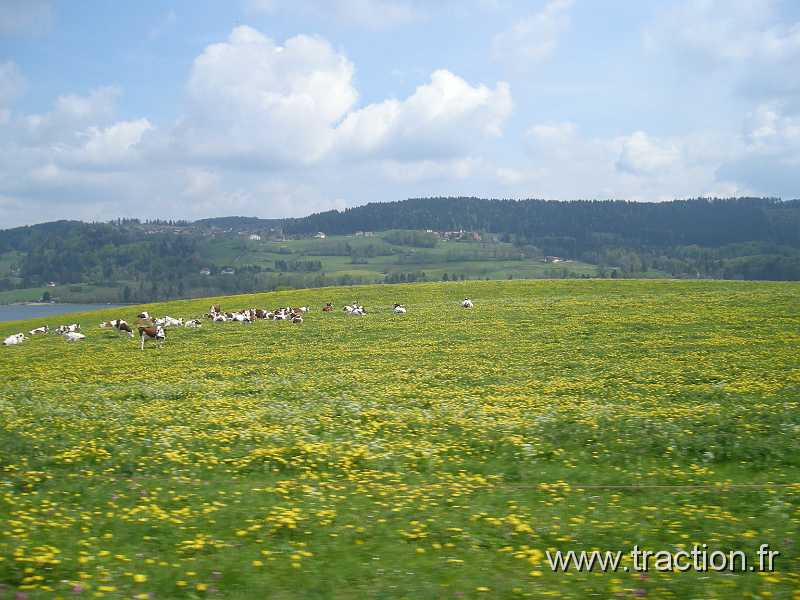 2011_CVAAM_35ans_13_Tour_du_Lac (2).JPG - 35 Ans du CVAAM, sortie dans le Doubs et le Jura, du 26 Avril au 1er Mai 2011, ballade autour du lac de Vouglans